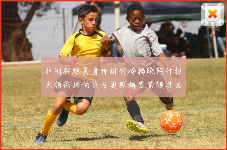 非洲杯球员身价排行榜揭晓阿什拉夫领衔姆伯莫与奥斯梅恩紧随其后