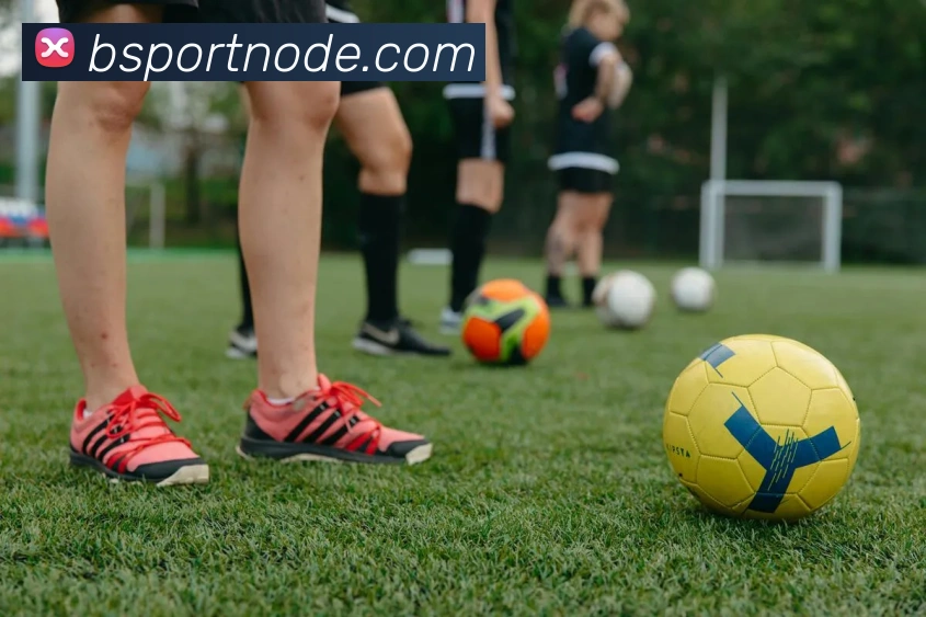 B体育平台生态图